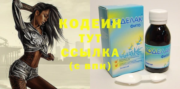 хмурый Рославль