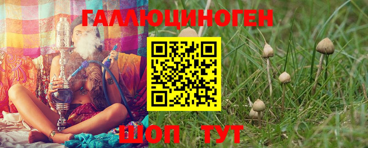 Галлюциногенные грибы мицелий Красный Сулин