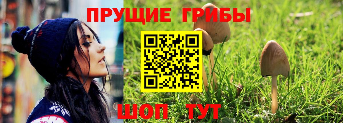 Галлюциногенные грибы мухоморы  Вход с VPN  Красный Сулин  Галлюциногенные грибы Psilocybine cubensis 